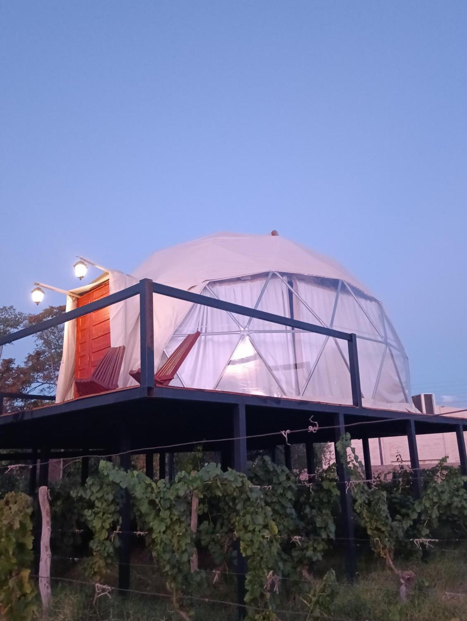Entre Racimos, Glamping Entre Vinedos En Bodega Campismo de Luxo Lujan de Cuyo