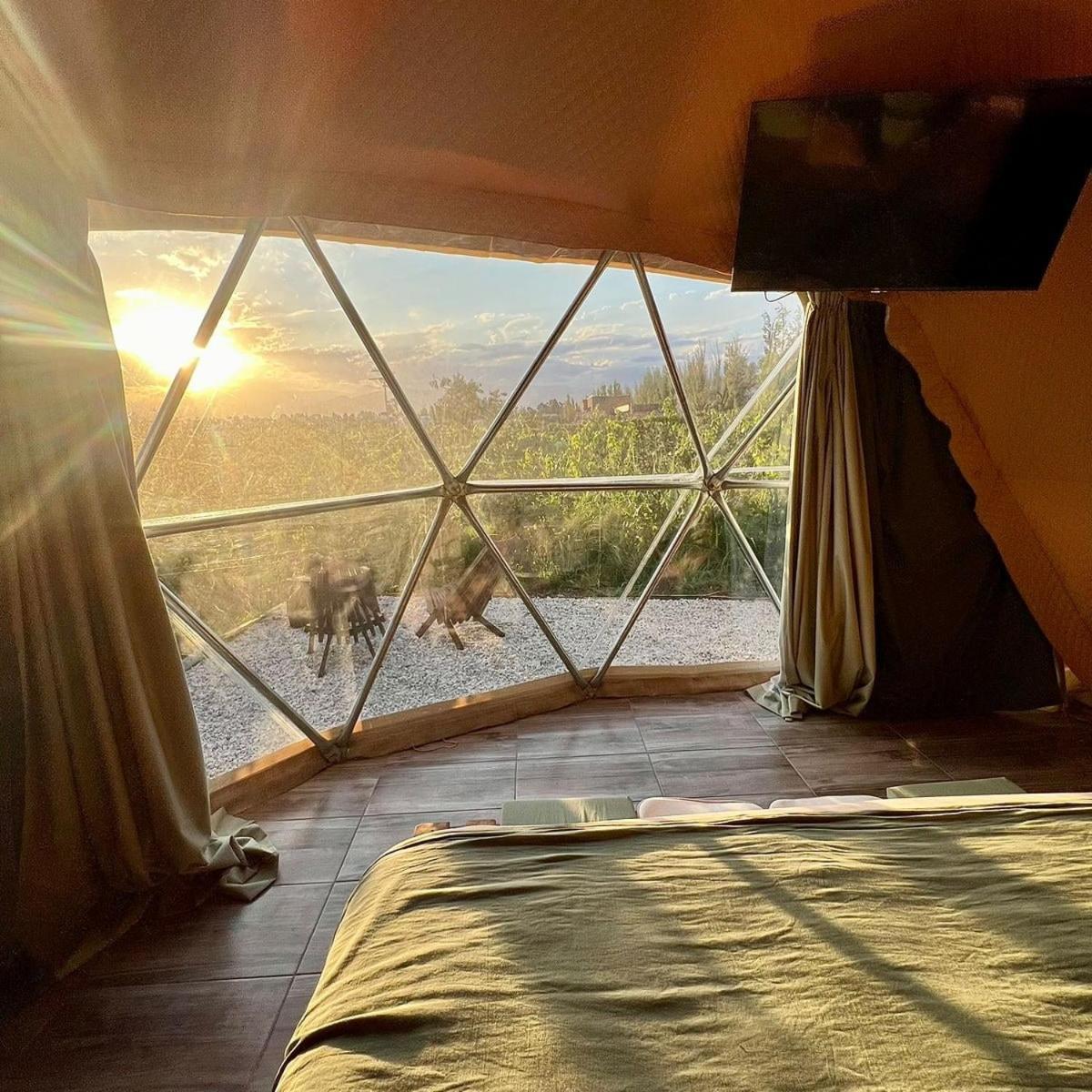 Entre Racimos, Glamping Entre Vinedos En Bodega *